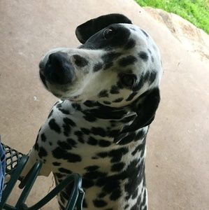 Meet your Posher, Robin